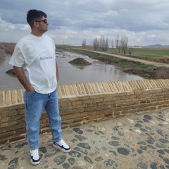 amir