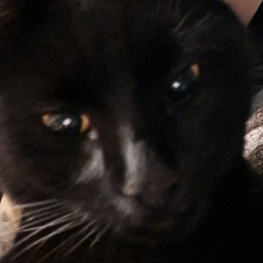 wince