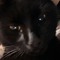 wince