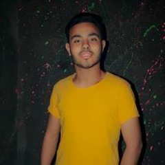 يوسف احمد عوض