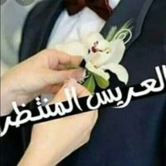 محمد علاء الحداد
