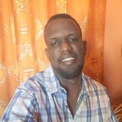 osman amier