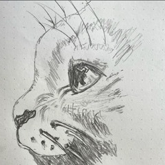 kuma