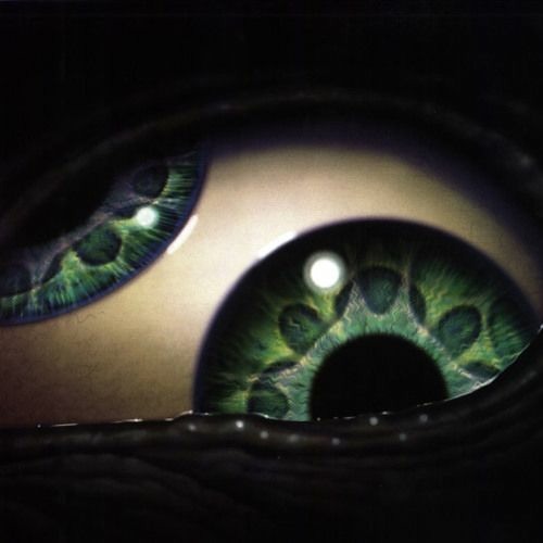 Divided_Eye ðŸ‘Š BLMâ€™s avatar