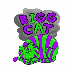 BiggCatGaming