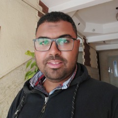 محمود صلاح أبو عرابي