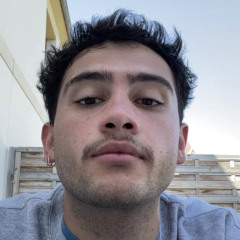 bashacustode