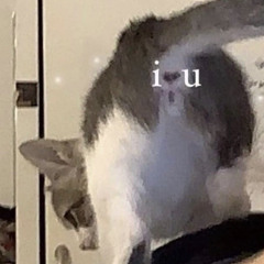 idk