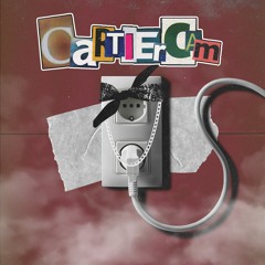 CartierCam