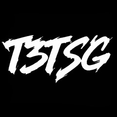 T3TS'G