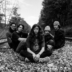 RUSSIANDOLPHINPOOLFIGHT