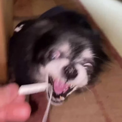 Nini_me
