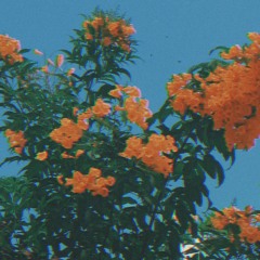 KL