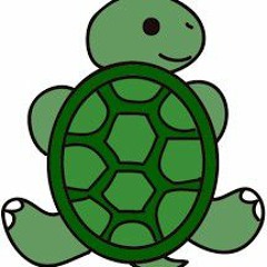 DaTurtle