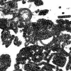 _wirehead