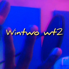 Wintwo Wt2
