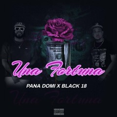 Pana Domi RD