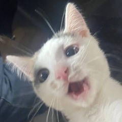 pikiyu4444