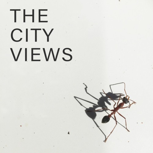 the city views’s avatar