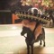 jaime