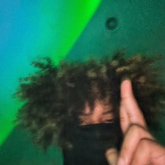 HAVØC