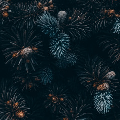 dandelion💫