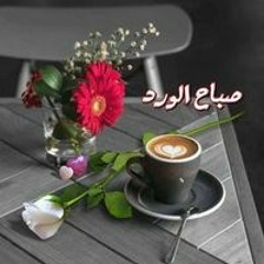 Dana Khaled