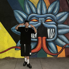 23ZY