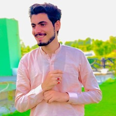RoNi Abid