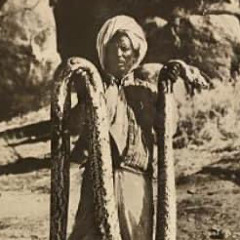 ሣራ