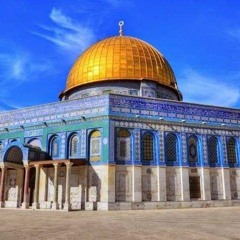 "محمد أبو مصعب"