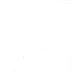 (•◡•) /