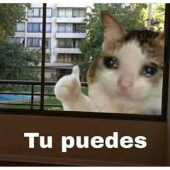 la mecánica popular