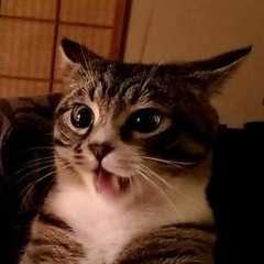 Fidget1