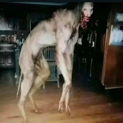 Stoodrug