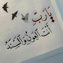 nader_mira