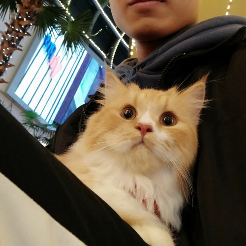 Mashup Và ngày nào đó - Lâu lâu nhắc lại (Trung Quân Idol - Hà Nhi)