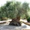 User 222172961
