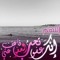 سامح سيد