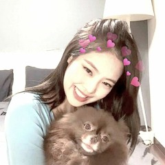 losy