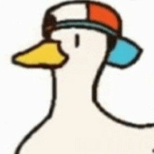 duckofshubs’s avatar