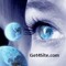 Get4Site