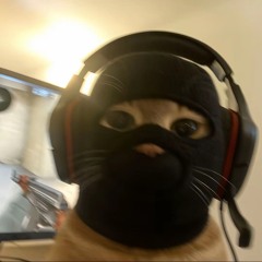 thebobkillkitty