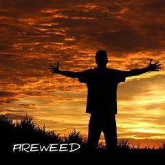 Fireweed