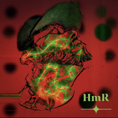 HMR_TSM
