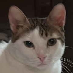 SKOMA