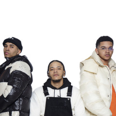 THE HANDSOME HUSTLERS