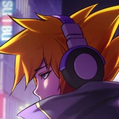 vin_1x