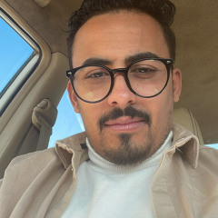 Mahmoud Abdelhadi
