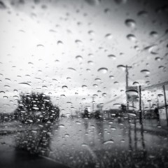 /ᐠ - ˕ -マ Ⳋ